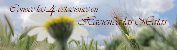 Las cuatro estaciones en Hacienda Las Matas