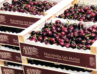 producción cereza
