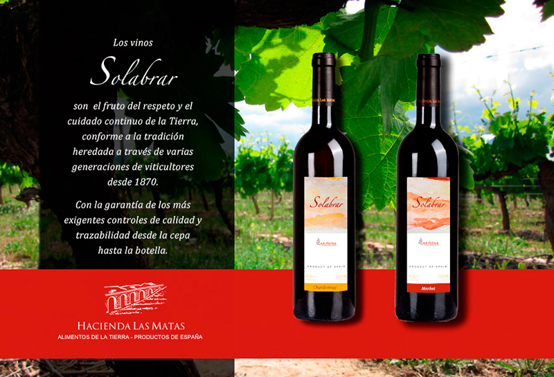 Vinos Solabrar Merlot y Chardonnay